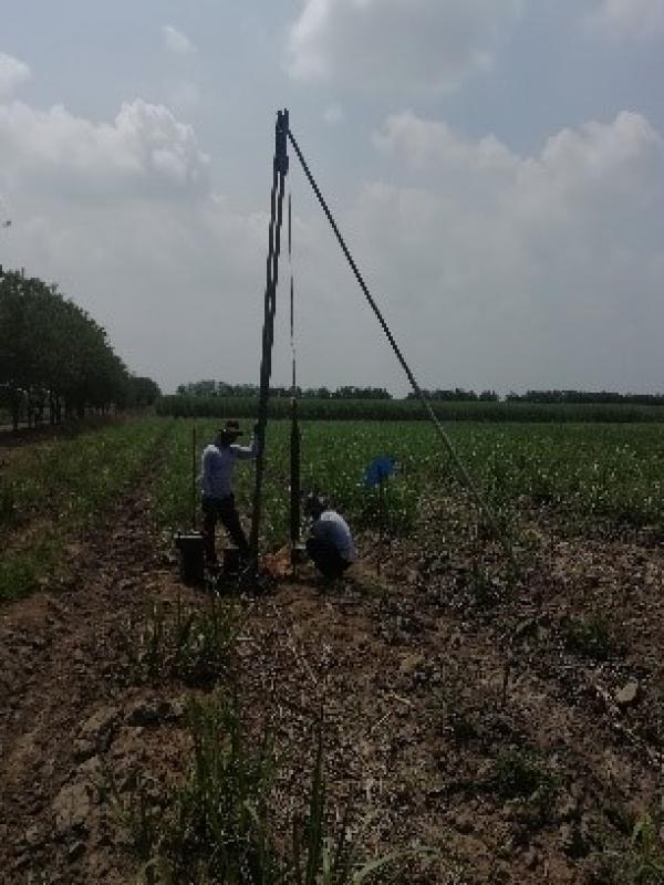 El Gran Capricho - Candelaria